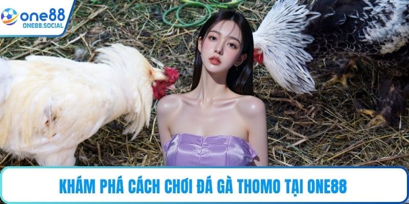 Khám phá cách chơi đá gà Thomo tại ONE88 