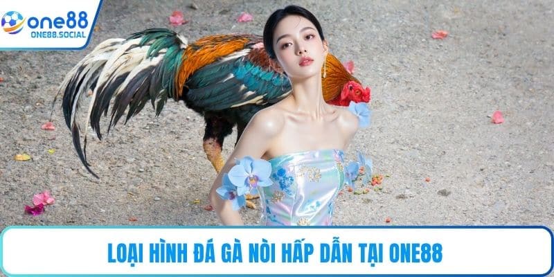Loại hình đá gà nòi hấp dẫn tại ONE88 
