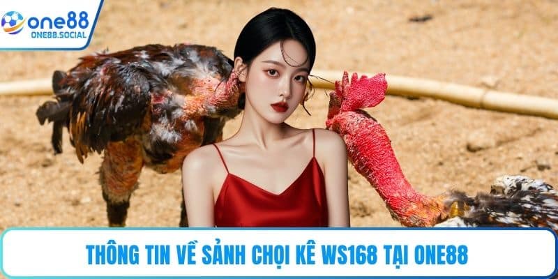 Thông tin về sảnh chọi kê WS168 tại ONE88 