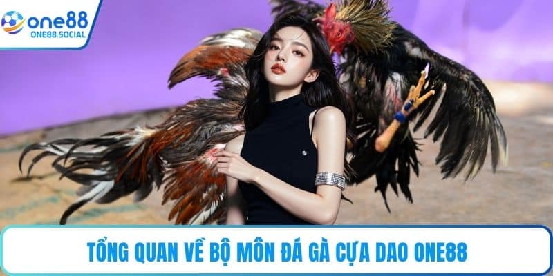 Tổng quan về bộ môn đá gà cựa dao ONE88